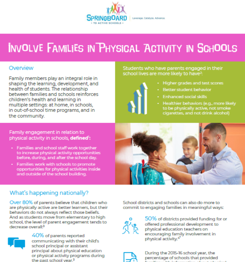 Easy-to-Use Data Briefs on Each Component of a Comprehensive School Physical Activity Program (CSPAP)